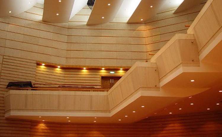 浙江溫州會(huì)議中心吸音板聲學(xué)工程 浙江溫州會(huì)議中心吸音板聲學(xué)工程